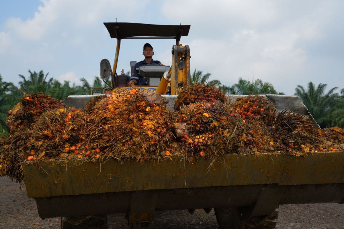 Indonesia's Export Overhaul Creates Supply Chain Ripples for Global Trade